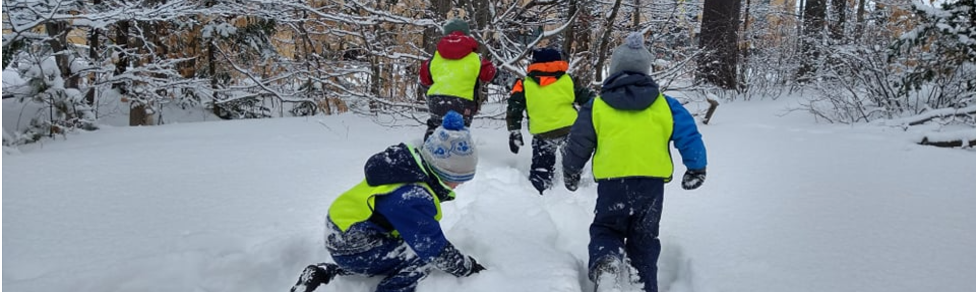 Semons la vie à chaque pas